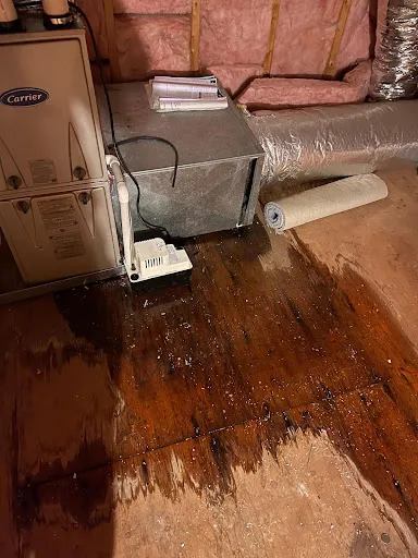 Review photo by Albert Holguin