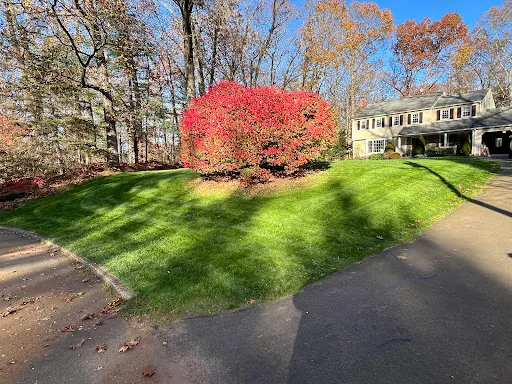 Review photo by Brian Hayes