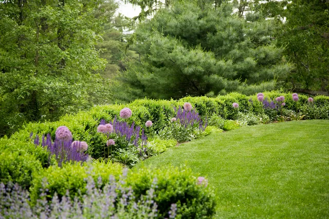 PARTERRE GARDEN SERVICES work photo