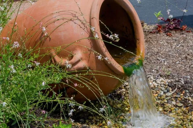 Fountain Scapes