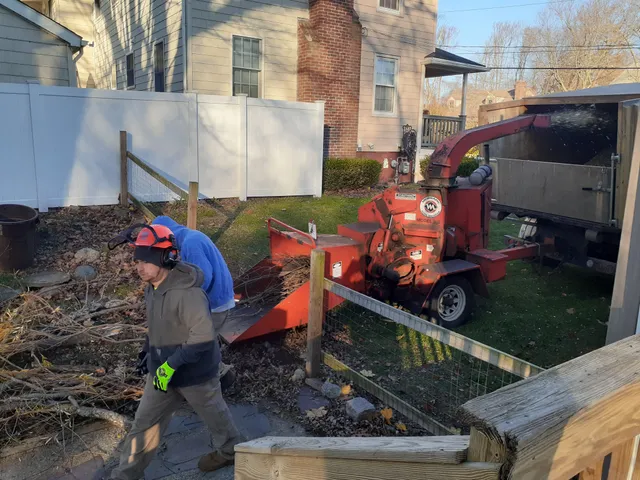 Affordable Stump Grinding and Property Management, LLC work photo