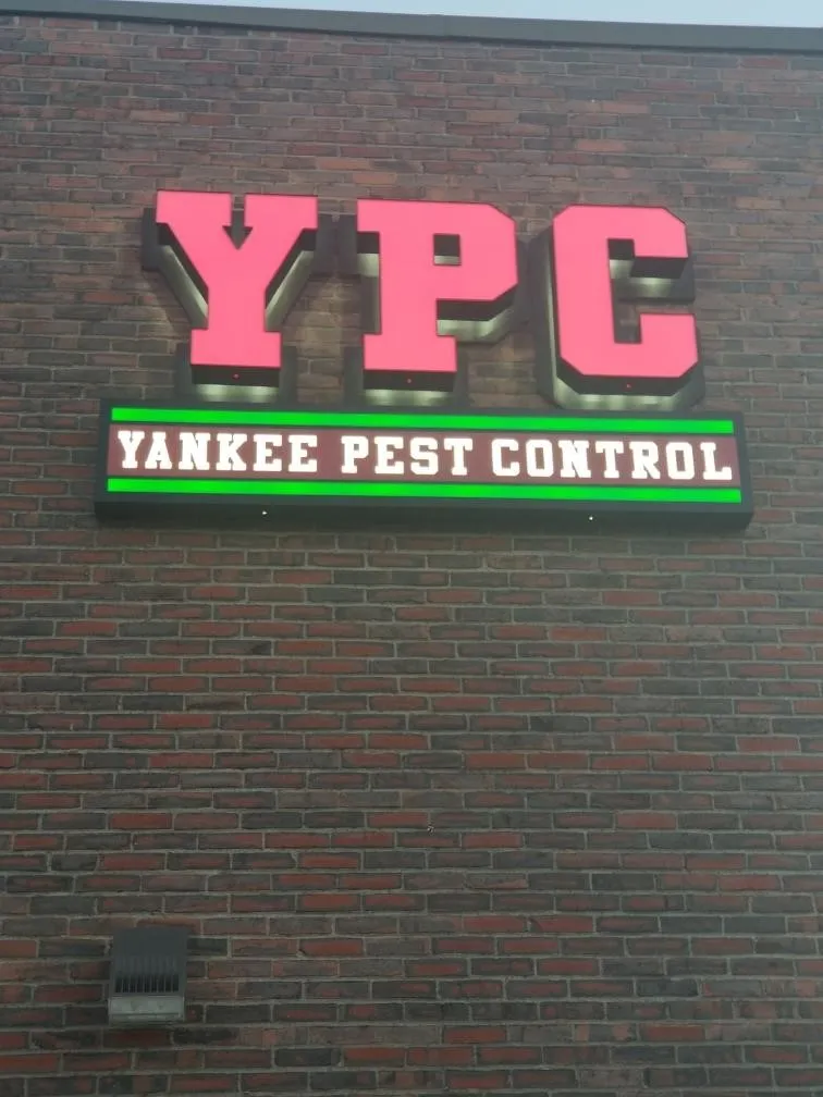 Yankee Pest Control