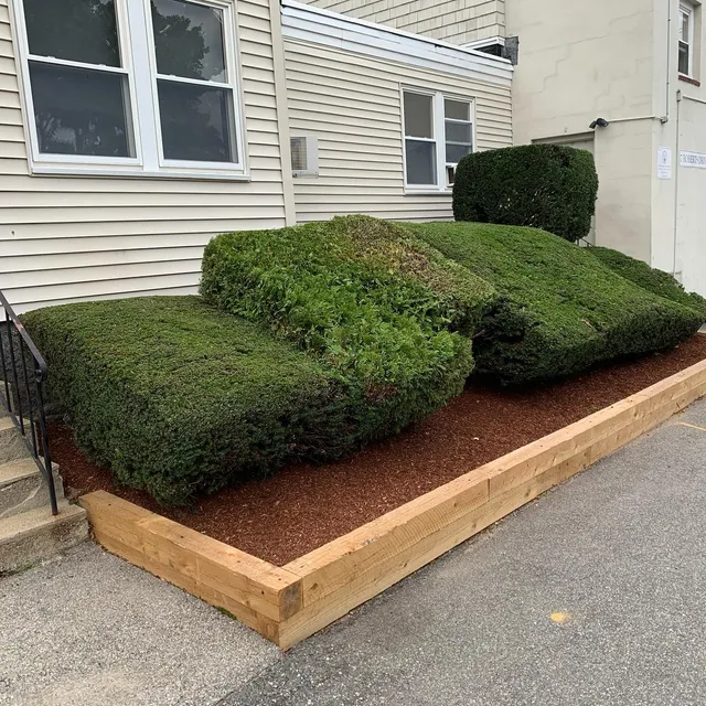 Fresh mulch and timber edging along a front walkway