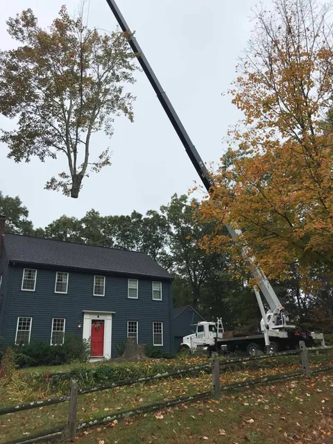 work photo from northsmithfieldtreeservice.com