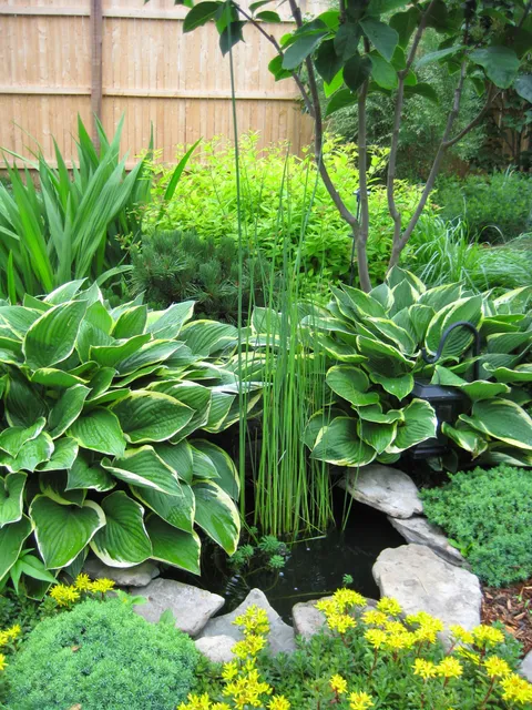 Natural Landscape work photo