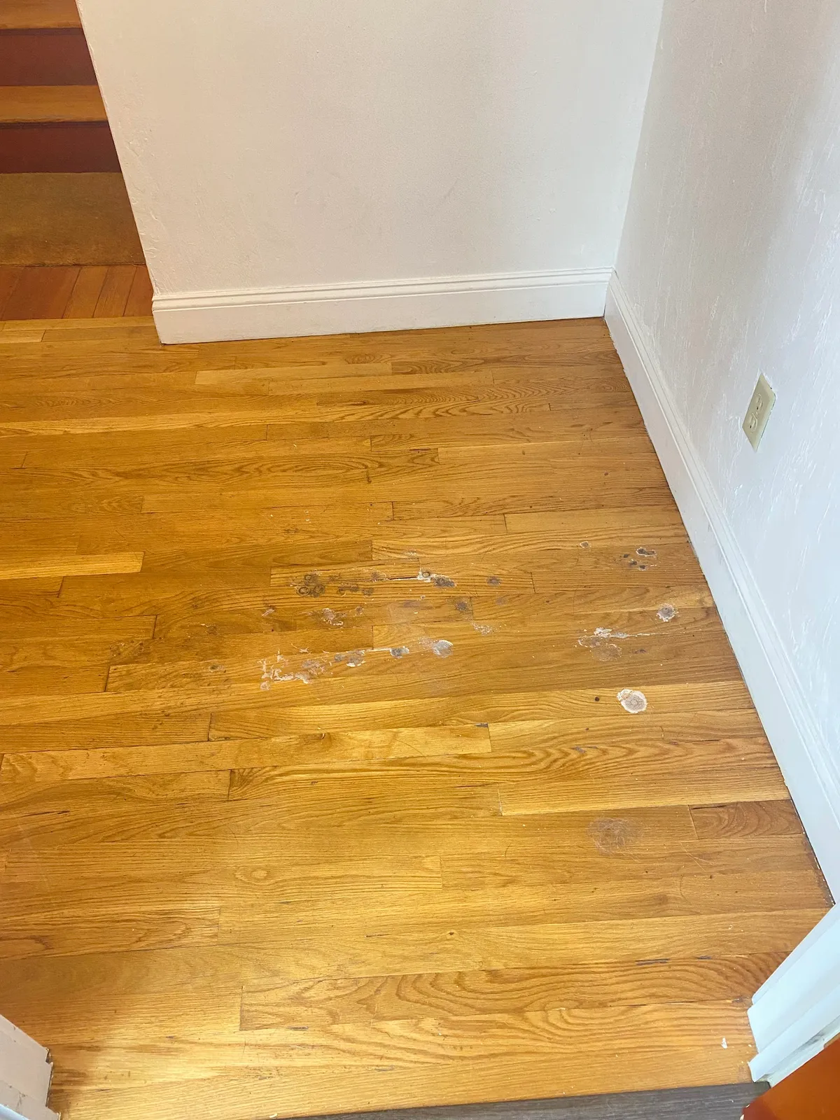 SOUZA'S CLEANING