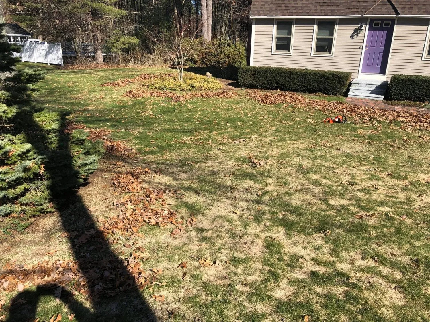 Litchfield NH Lawn Care and Spring Clean Up Service