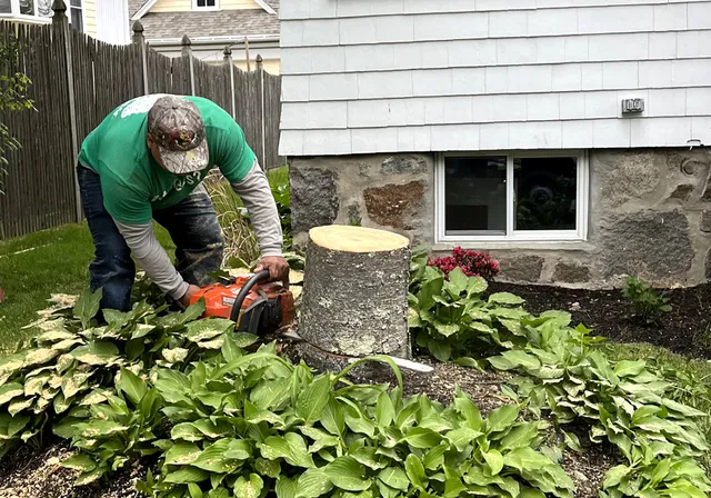 work photo from thoreaulandscape.com
