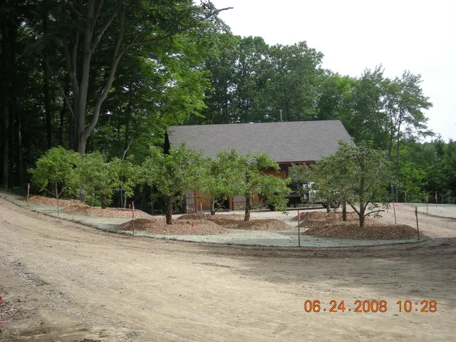 work photo from greenotreemovers.com