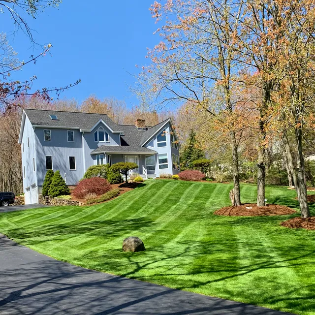 Sampedro's Landscaping LLC work photo