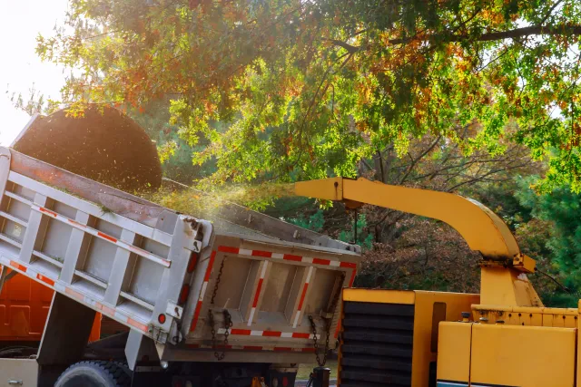 Marcotte's Tree Care (A).jpeg