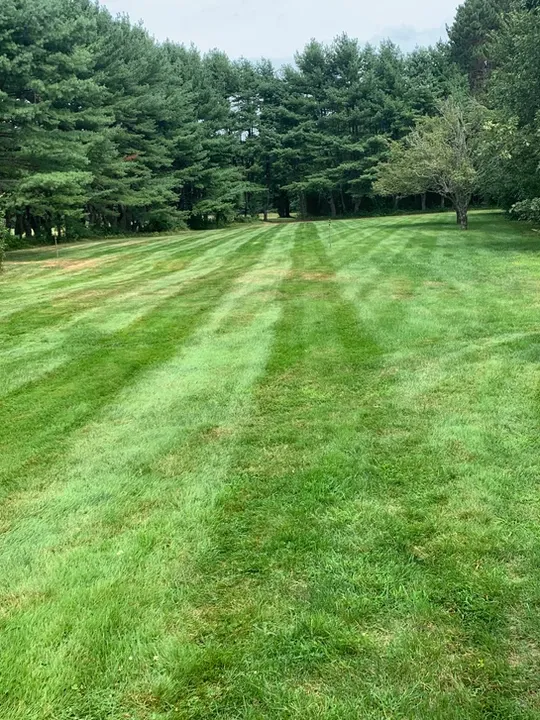 Image_20220317_191714.jpeg