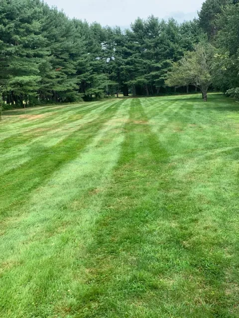 Image_20220317_191714.jpeg