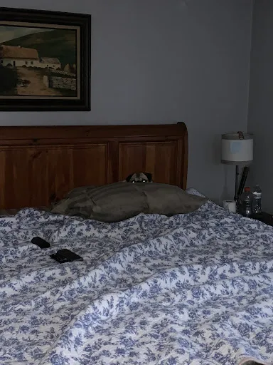 Review photo by Kathleen Shea