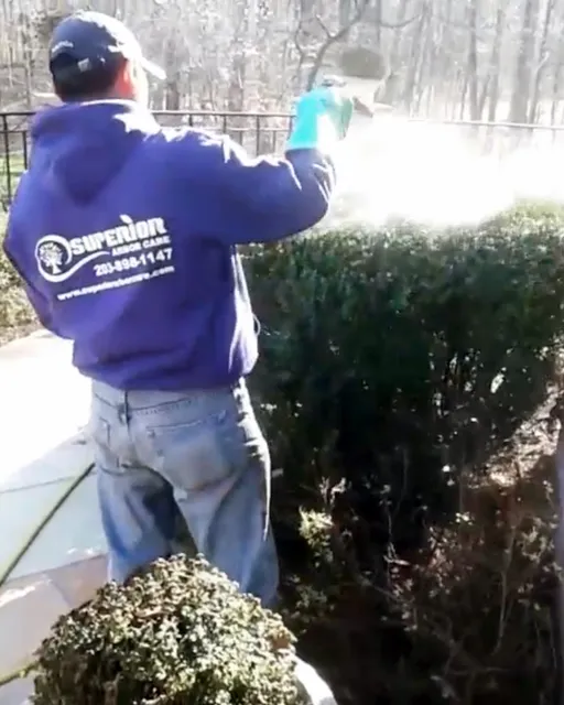 work photo from superiorarborcare.com