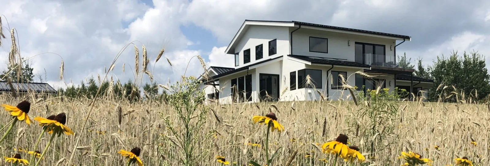 A modern white two-story hilltop home with large windows sits behind a field of tall grasses and yellow wildflowers under a partly cloudy sky. Trees are visible in the background.