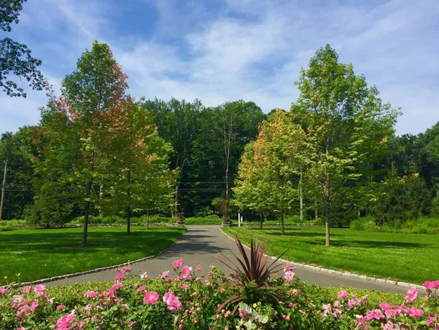 Healthy-trees-Img