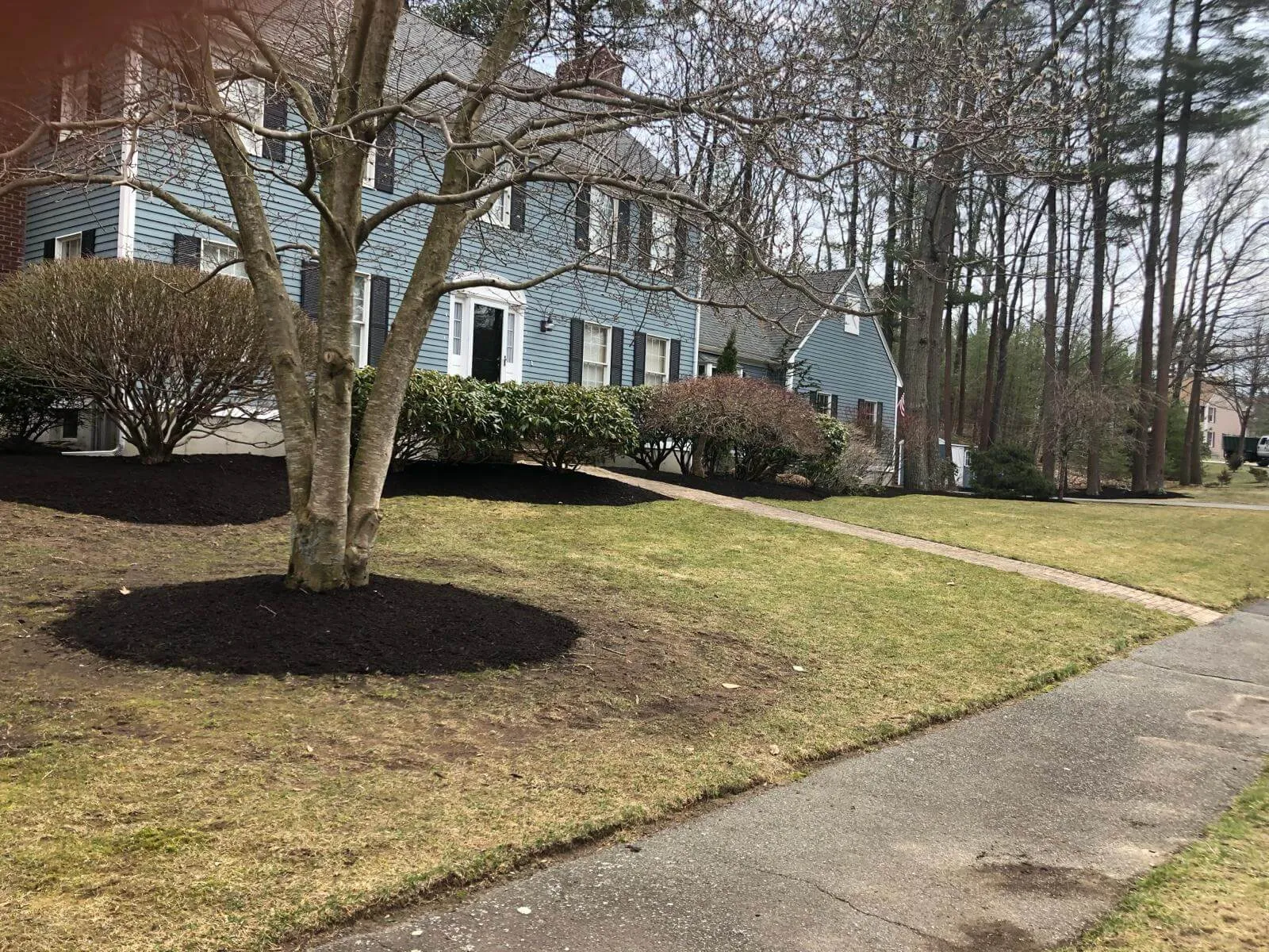 work photo from miguellopezlandscaping.com