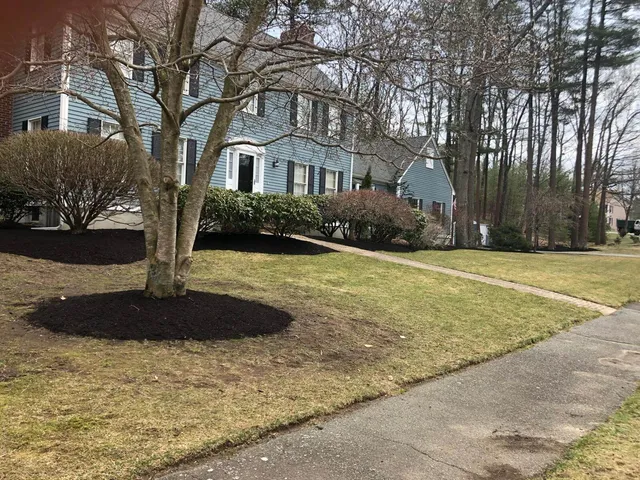 work photo from miguellopezlandscaping.com
