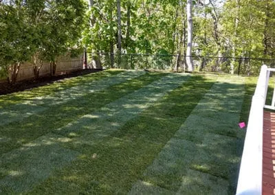 New Lawn Installation Photos