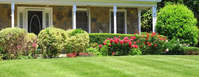 Lawn Services
