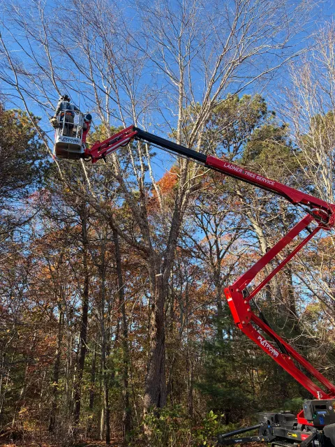 work photo from ladnertree.com