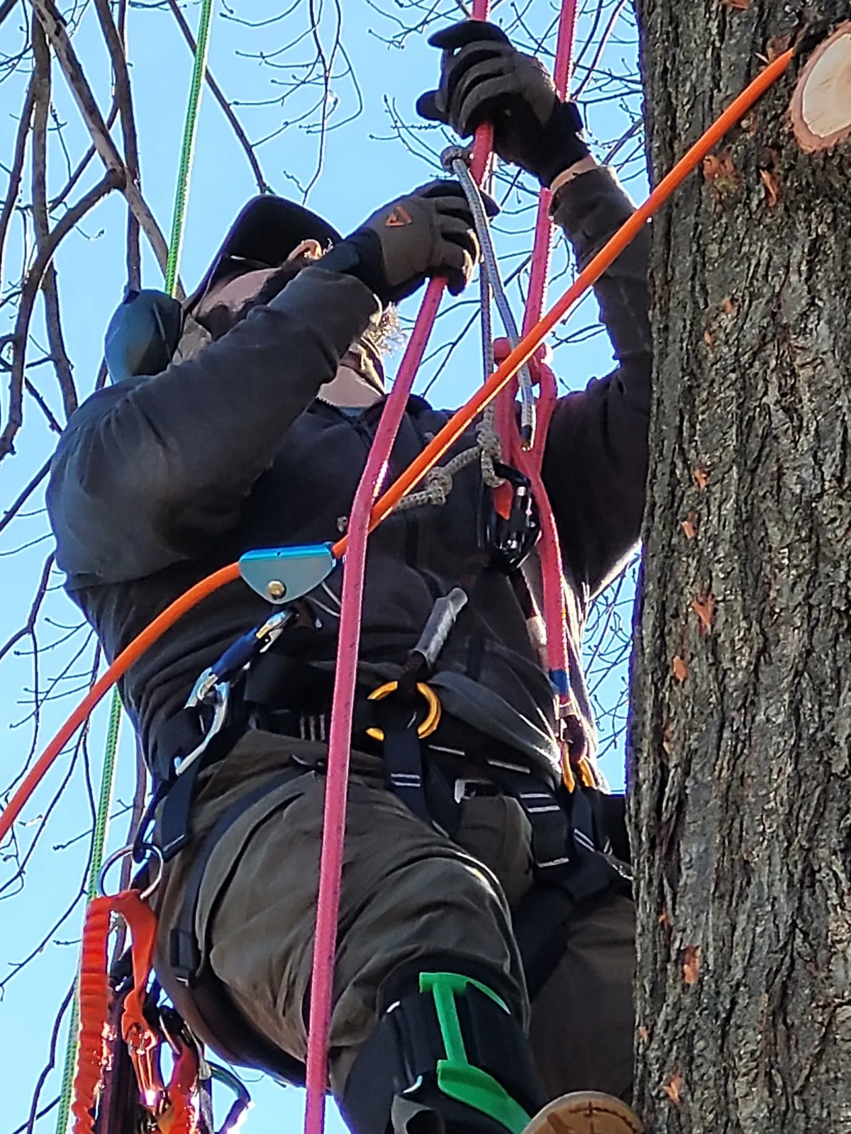 work photo from Google listing