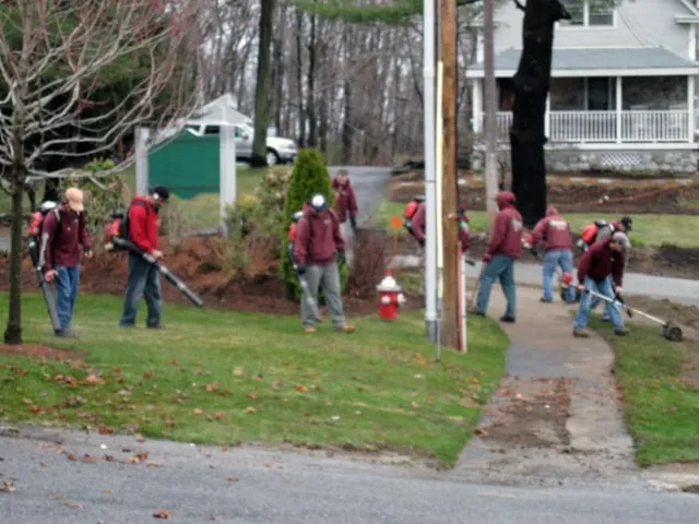 work photo from mccarthyslandscaping.com