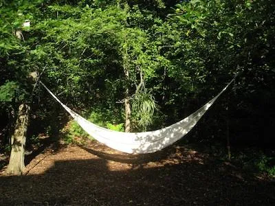 hammock