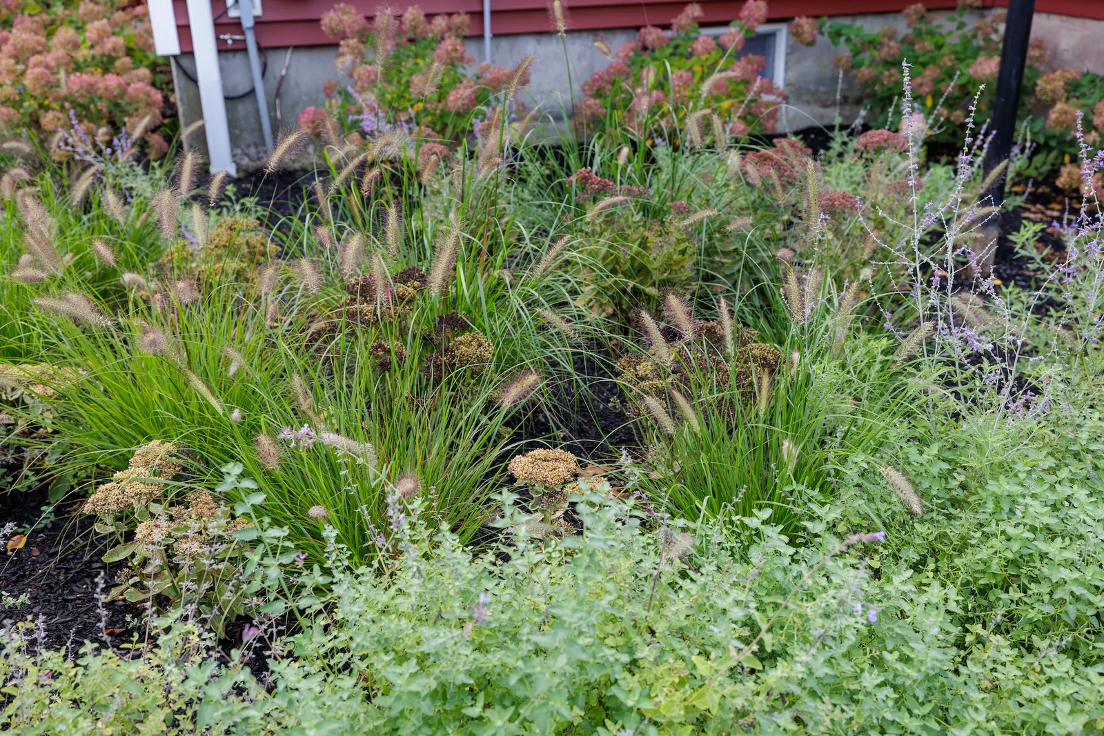 landscape designer