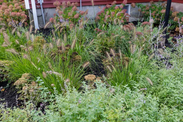 landscape designer