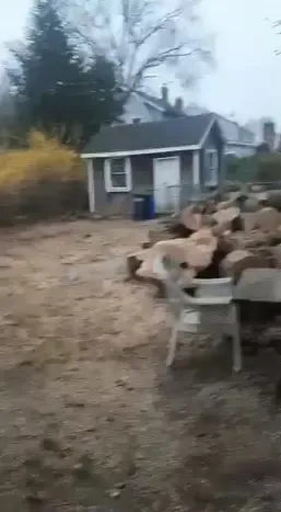 work photo from hdtreeservicesandlandscaping.com