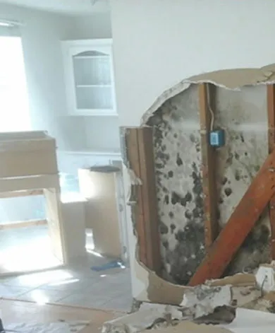 Mold Remediation