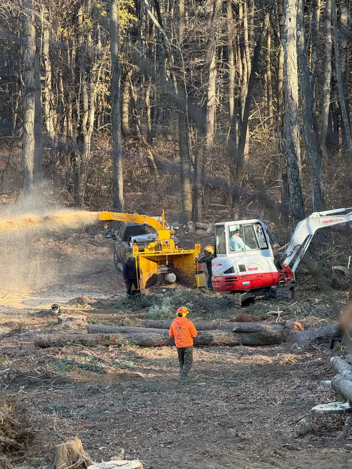 A man is standing in the middle of a forest next to a bulldozer.