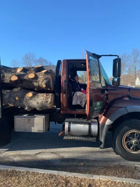 A person in a large brown truck filled with logs, door open. Bright blue sky.