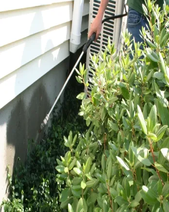 Foundation Insect Control
