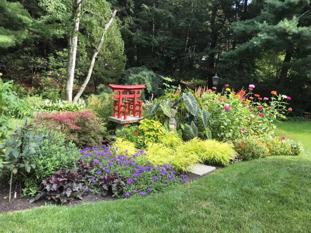 Garden & Plant Care