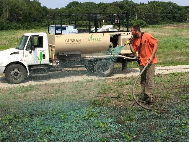 Guaranteed Seed work photo
