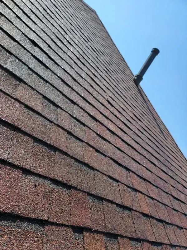 Mold and Algae Removal