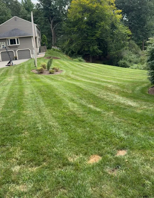 Freshly mowed lawn maintained by GB Landscape