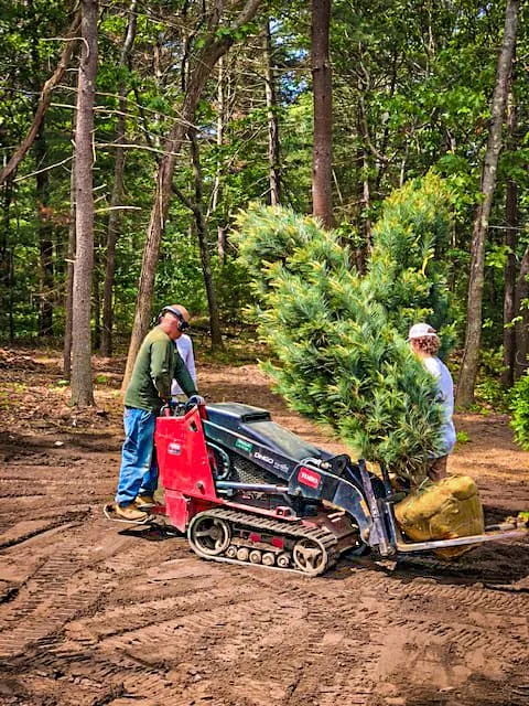 work photo from hedgesinclandscape.com