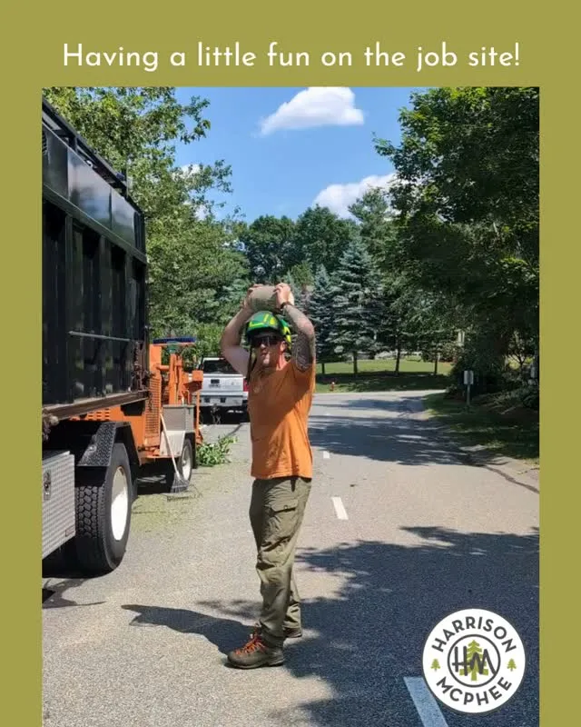 Fridays bring the good energy, a few laughs, and plenty of shenanigans. Our crews know how to work hard, stay safe, and keep each other smiling all day long. 🪵✨

Enjoy your weekend! We’ll be back on Monday—ready to keep your trees healthy and bring the good vibes with us.

#TreeCare #ArboristLife #FridayVibes #TreeWork #CrewCulture #WeekendReady