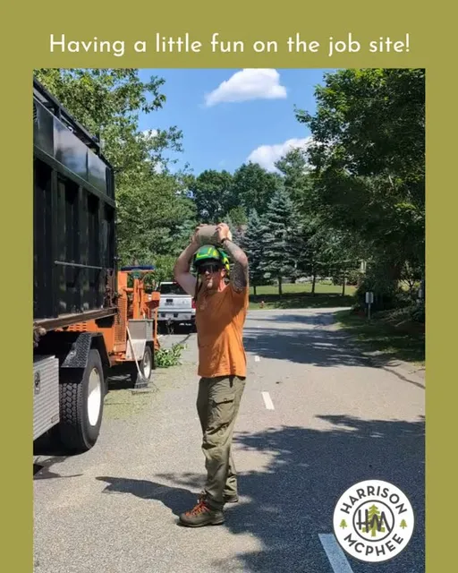 Fridays bring the good energy, a few laughs, and plenty of shenanigans. Our crews know how to work hard, stay safe, and keep each other smiling all day long. 🪵✨

Enjoy your weekend! We’ll be back on Monday—ready to keep your trees healthy and bring the good vibes with us.

#TreeCare #ArboristLife #FridayVibes #TreeWork #CrewCulture #WeekendReady