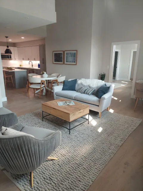 Living room: white sofa, wooden coffee table on gray rug, open to kitchen and dining area.