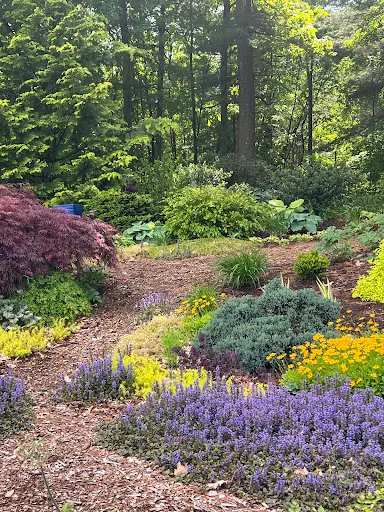 Vision Spray Solutions, INC, weed, tick & mosquito spraying/natural options available work photo