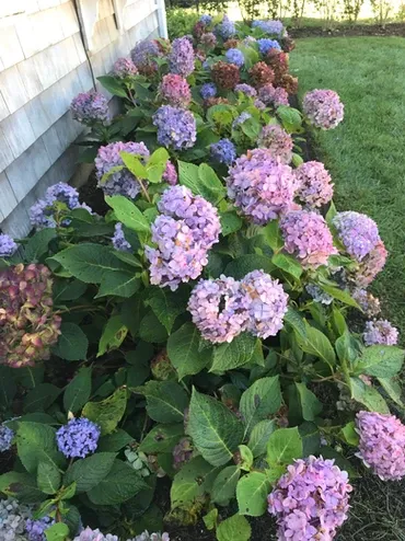 Eventide Landscaping & Design work photo