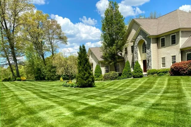 Lawn-photo-1.jpg
