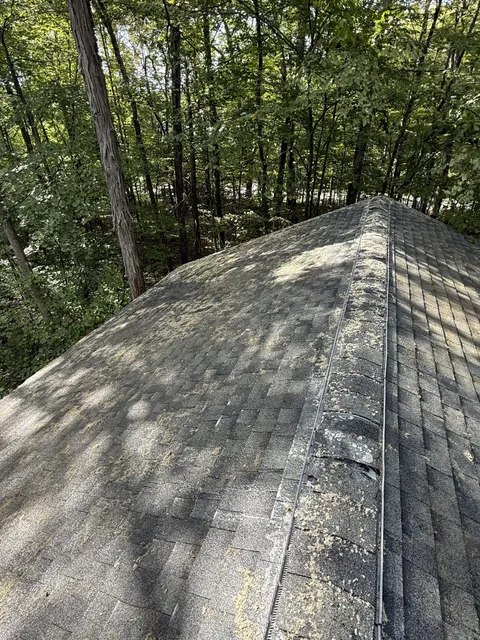 Clean asphalt shingles after Eagle's soft wash roof cleaning