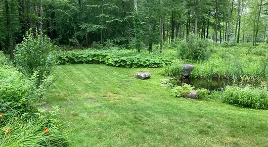 Low Carbon Landscaping work photo