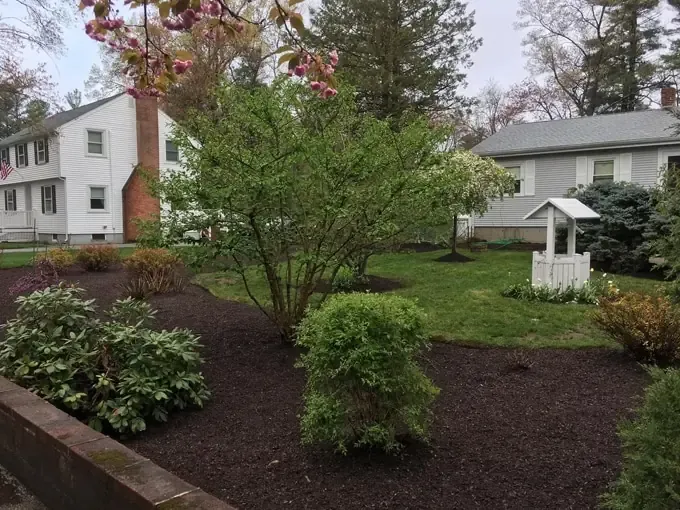 Expert Landscaping for Homes & Businesses